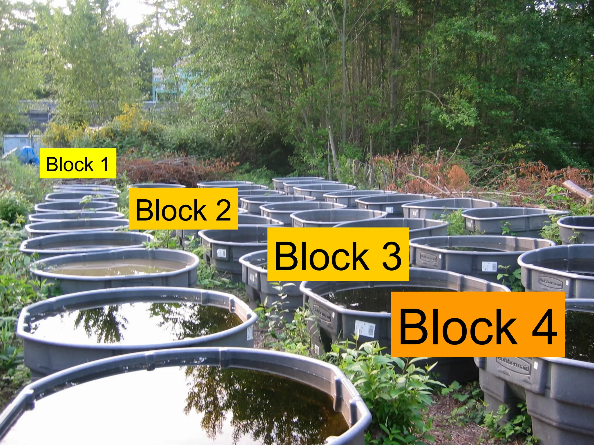 Block 1
Block 4
Block 2
Block 3
 