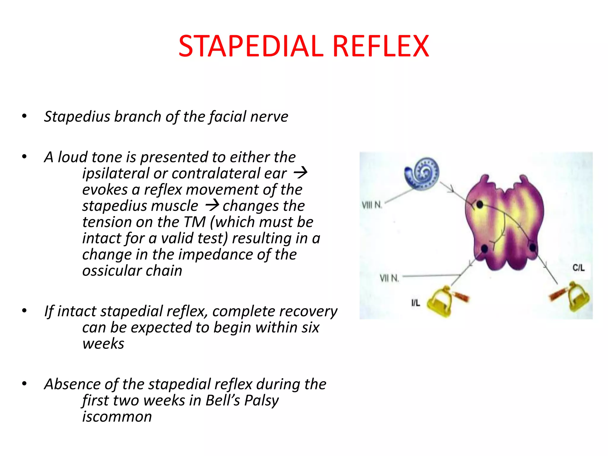 Facial Nerve | PPTX