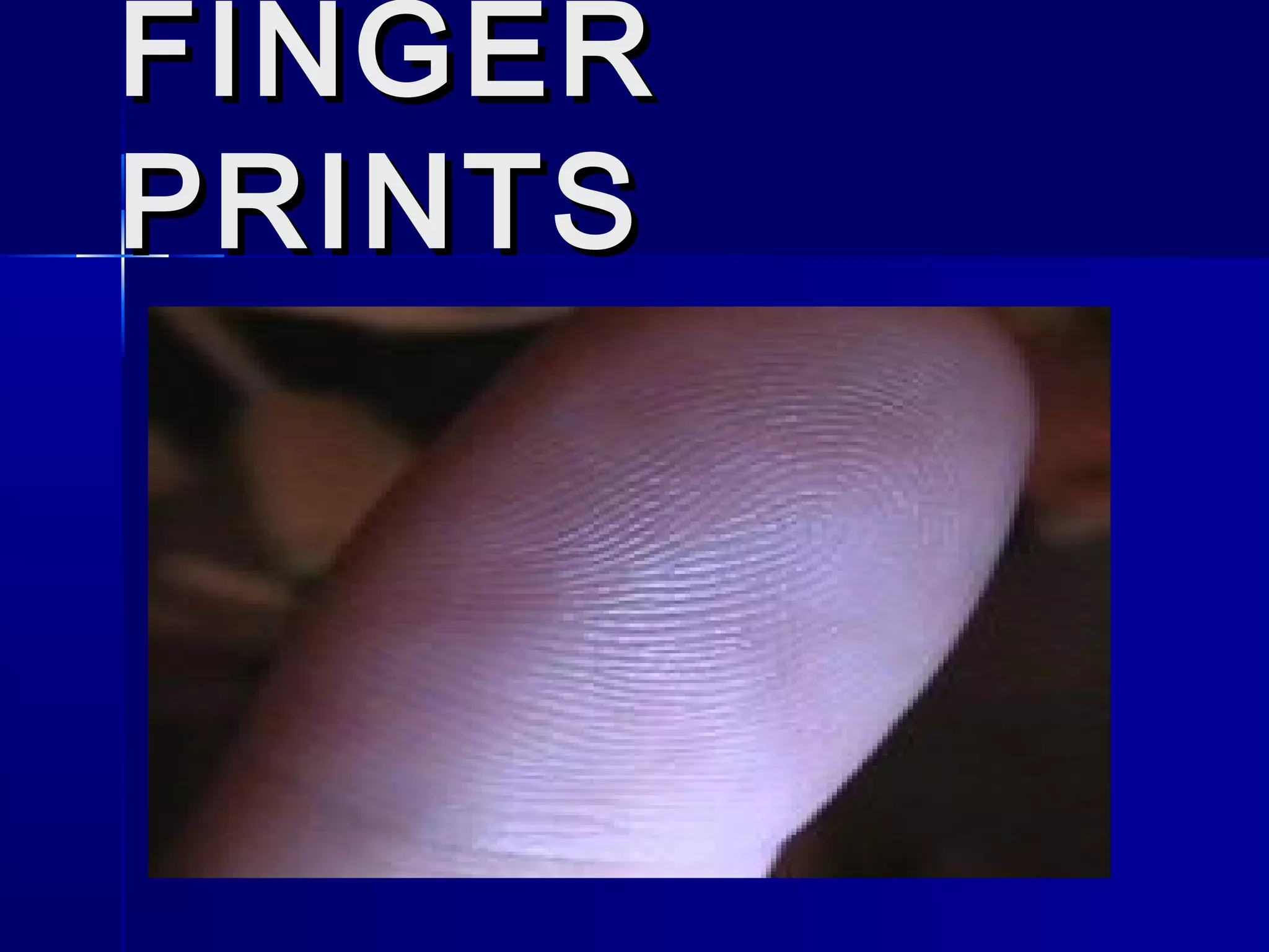 FINGERFINGER
PRINTSPRINTS
 
