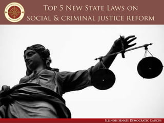 Many new or revised laws take effect
in the new year, including several
aimed at reforming Illinois’
social and criminal j...