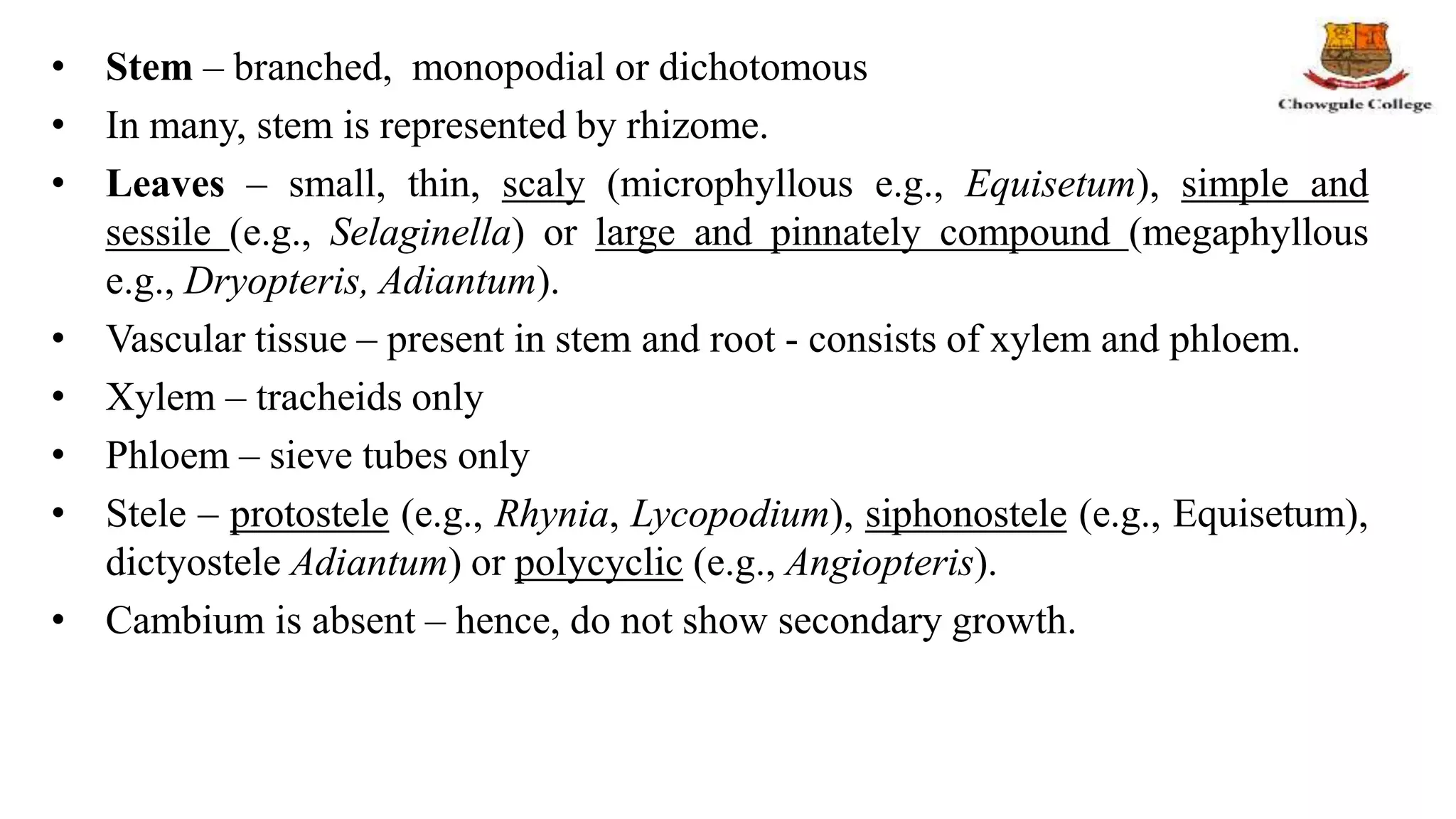 • Stem – branched, monopodial or dichotomous
• In many, stem is represented by rhizome.
• Leaves – small, thin, scaly (microphyllous e.g., Equisetum), simple and
sessile (e.g., Selaginella) or large and pinnately compound (megaphyllous
e.g., Dryopteris, Adiantum).
• Vascular tissue – present in stem and root - consists of xylem and phloem.
• Xylem – tracheids only
• Phloem – sieve tubes only
• Stele – protostele (e.g., Rhynia, Lycopodium), siphonostele (e.g., Equisetum),
dictyostele Adiantum) or polycyclic (e.g., Angiopteris).
• Cambium is absent – hence, do not show secondary growth.
 