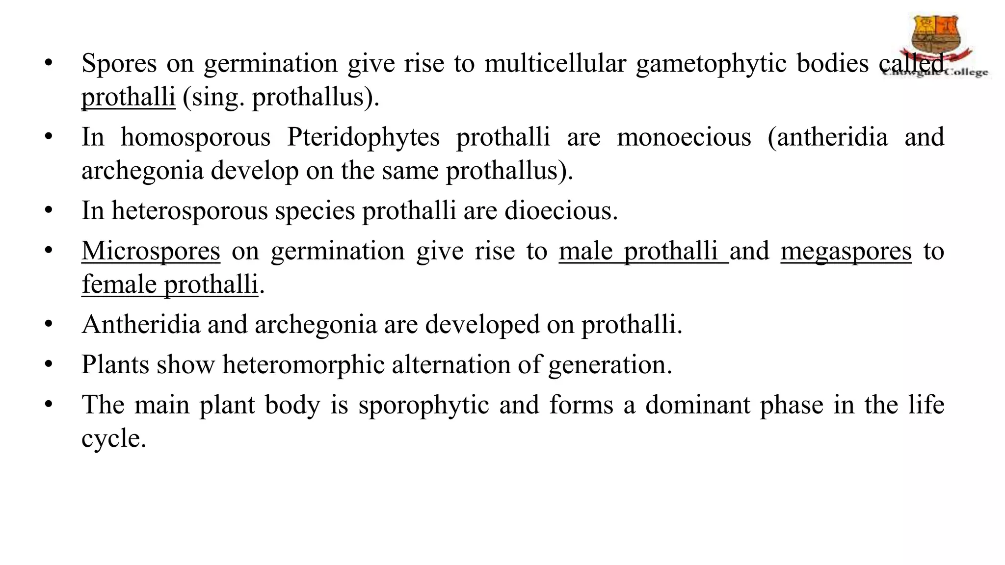 • Spores on germination give rise to multicellular gametophytic bodies called
prothalli (sing. prothallus).
• In homosporous Pteridophytes prothalli are monoecious (antheridia and
archegonia develop on the same prothallus).
• In heterosporous species prothalli are dioecious.
• Microspores on germination give rise to male prothalli and megaspores to
female prothalli.
• Antheridia and archegonia are developed on prothalli.
• Plants show heteromorphic alternation of generation.
• The main plant body is sporophytic and forms a dominant phase in the life
cycle.
 