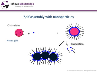Gold nanoparticles - optimization of conjugates | PDF
