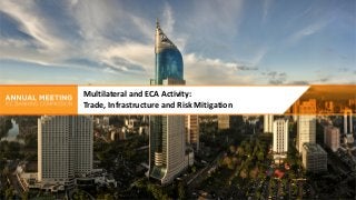 Multilateral and ECA Activity:
Trade, Infrastructure and Risk Mitigation
 