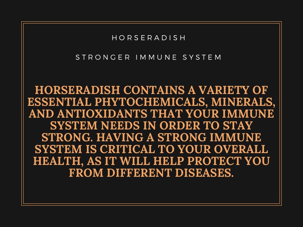 16 Health Benefits of Horseradish