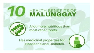 16 health benefits of moringa leaves