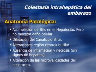 Colestasia intrahepática del embarazo Anatomía Patológica: Acumulación de Bilis en el Hepatocito. Pero no muestra daño celular Dilatación del Canalículo Biliar. Alteraciones región centrolubulillar . Ausencia de inflamación y necrosis (sin signos de hepatitis). Alteración de las microvellosidades del hepatocito. 