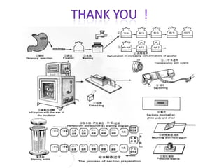 16 histotechniques 2