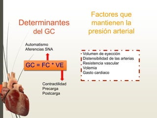 Factores que
mantienen la
presión arterial
GC = FC * VE
Automatismo
Aferencias SNA
Contractilidad
Precarga
Postcarga
Determinantes
del GC
Volumen de eyección
Distensibilidad de las arterias
Resistencia vascular
Volemia
Gasto cardiaco
 