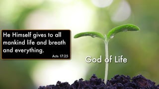 God of Life
He Himself gives to all
mankind life and breath
and everything.
Acts 17:25
 