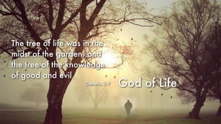 God of Life
The tree of life was in the
midst of the garden, and
the tree of the knowledge
of good and evil.
Genesis 2:9
 