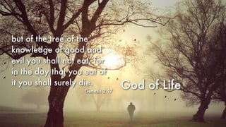 God of Life
but of the tree of the
knowledge of good and
evil you shall not eat, for
in the day that you eat of
it you shall surely die.
Genesis 2:17
 