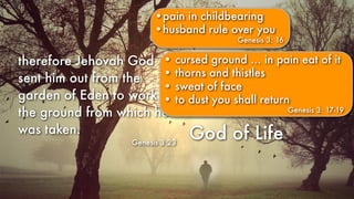 God of Life
therefore Jehovah God
sent him out from the
garden of Eden to work
the ground from which he
was taken.
Genesis 3:23
•pain in childbearing
•husband rule over you
Genesis 3: 16
• cursed ground … in pain eat of it
• thorns and thistles
• sweat of face
• to dust you shall return
Genesis 3: 17-19
 