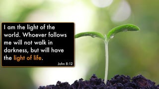 Text
I am the light of the
world. Whoever follows
me will not walk in
darkness, but will have
the light of life.
John 8:12
 