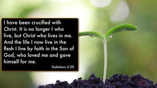 I have been cruciﬁed with
Christ. It is no longer I who
live, but Christ who lives in me.
And the life I now live in the
ﬂesh I live by faith in the Son of
God, who loved me and gave
himself for me.
Galatians 2:20
I have been cruciﬁed with
Christ. It is no longer I who
live, but Christ who lives in me.
And the life I now live in the
ﬂesh I live by faith in the Son of
God, who loved me and gave
himself for me.
Galatians 2:20
 