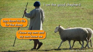 lays down his life
for the sheep
I am the good shepherdI am the good shepherd
John 10:11,14-15, 27, 28
I know my own and
my own know me
 