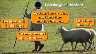 lays down his life
for the sheep
I am the good shepherdI am the good shepherd
John 10:11,14-15, 27, 28
I know my own and
my own know me
I give them
eternal life
My sheep hear my voice,
and I know them,
and they follow me.
 