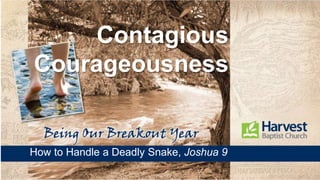 Contagious
Courageousness
How to Handle a Deadly Snake, Joshua 9
 