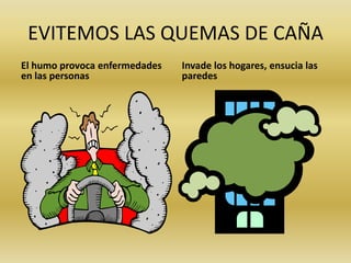 EVITEMOS LAS QUEMAS DE CAÑA
El humo provoca enfermedades
en las personas
Invade los hogares, ensucia las
paredes