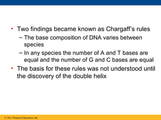 • Two findings became known as Chargaff’s rules
– The base composition of DNA varies between
species
– In any species the number of A and T bases are
equal and the number of G and C bases are equal
• The basis for these rules was not understood until
the discovery of the double helix
© 2011 Pearson Education, Inc.
 