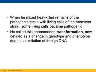• When he mixed heat-killed remains of the
pathogenic strain with living cells of the harmless
strain, some living cells became pathogenic
• He called this phenomenon transformation, now
defined as a change in genotype and phenotype
due to assimilation of foreign DNA
© 2011 Pearson Education, Inc.
 
