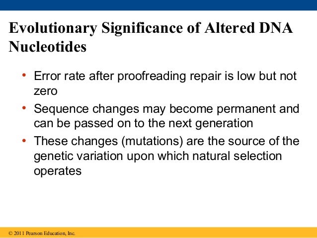Are Mutations The Source Of Natural Selection Are Mutations The Source Of Natural Selection