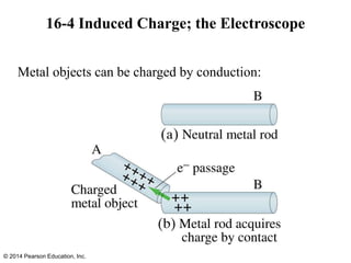 16-4 Induced Charge; the Electroscope
Metal objects can be charged by conduction:
© 2014 Pearson Education, Inc.
 