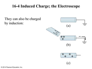 16-4 Induced Charge; the Electroscope
They can also be charged
by induction:
© 2014 Pearson Education, Inc.
 