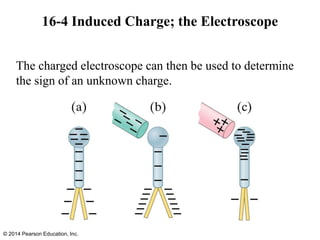 16-4 Induced Charge; the Electroscope
The charged electroscope can then be used to determine
the sign of an unknown charge.
© 2014 Pearson Education, Inc.
 