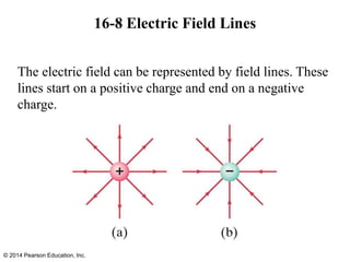 16-8 Electric Field Lines
© 2014 Pearson Education, Inc.
The electric field can be represented by field lines. These
lines start on a positive charge and end on a negative
charge.
 