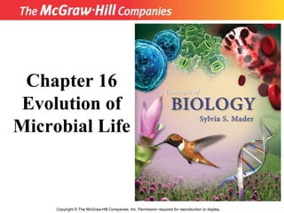 Copyright  ©  The McGraw-Hill Companies, Inc. Permission required for reproduction or display. Chapter 16 Evolution of Microbial Life 