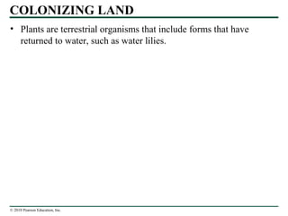 © 2010 Pearson Education, Inc.
COLONIZING LAND
• Plants are terrestrial organisms that include forms that have
returned to water, such as water lilies.
 