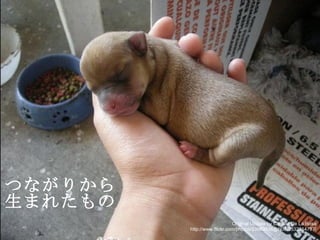 つながりから 生まれたもの Original Update by Claudia De La Rosa http://www.flickr.com/photos/33963936@N07/3532314797/ 