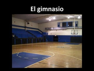 El gimnasio

 