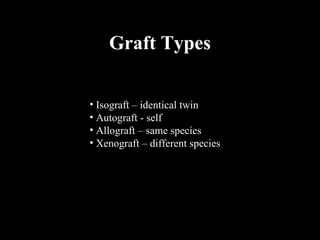 Isograft Examples 16 Lymphatic | PPT
