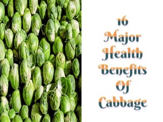 16 major health benefits of cabbage