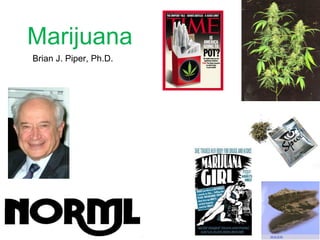 Marijuana
Brian J. Piper, Ph.D.
 