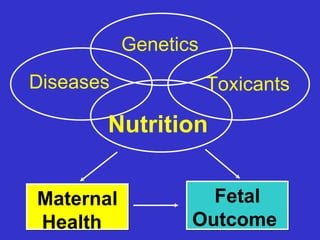 Genetics
Diseases              Toxicants

       Nutrition


Maternal            Fetal
Health            Outcome
 