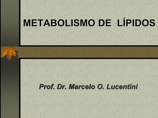METABOLISMO DE LÍPIDOS
Prof. Dr. Marcelo O. Lucentini
 