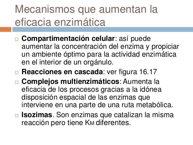 Más en calcular metabolismo basal hombre