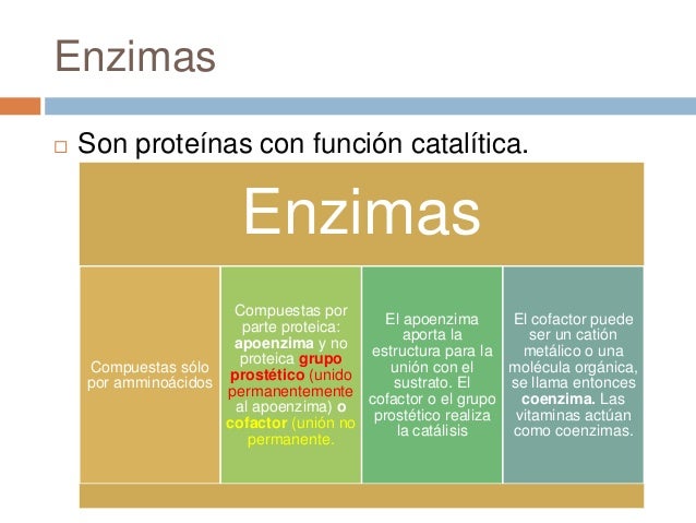 como cambiar el metabolismo para adelgazar en la forma natural