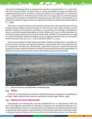 15 
ción de la humedad que afecta el trasporte de nutrientes a la planta (Terán C. A., 2011). Ade-más 
de los suelos también se deben tener en cuenta las pérdidas de agua por medio de la 
evapotranspiración que es el término usado para referirse a la evaporación y a la transpira-ción. 
La evaporación es el fenómeno por medio del cual el agua pasa de un estado liquido 
a gaseoso a la atmosfera por efecto de la temperatura y por otro lado la transpiración es un 
proceso de emisión del agua en forma de vapor por medio de los estomas de la planta (Bernal 
E. J., 1994). 
Teniendo en cuenta los factores mencionados anteriormente, los requerimientos mínimos 
de agua semanal según la textura del suelo en clima frio son: para suelos arenosos 25 mm/ 
semana, limosos 20 mm/semana y arcillosos 15 mm/semana. Sin embargo, la temperatura 
ejerce su actividad evapotranspiradora en climas cálidos por lo cual se debe contemplar un 
promedio de agua adicional del 20% de lo referenciado. También es importante que se tenga 
en cuenta la humedad relativa de la región, ya que en regiones donde es alta no será necesa-rio 
tal incremento solo con un 10 – 15% es suficiente (Mila P. A., 2012). 
Entonces para realizar un buen cálculo del balance hídrico que debe tener una pradera, es 
necesario que se conozcan los siguientes aspectos: capacidad de retención de agua del sue-lo, 
evaporación, transpiración, precipitación, profundidad radicular y estado de desarrollo 
del pasto. De estos aspectos depende la calidad nutricional del forraje y que pueda ofertar un 
balance nutricional suculento para un buen desempeño reproductivo del animal. 
Foto: Camacho R. 
Imagen 4: Suelos con reducción de su capa vegetal debido a la insuficiencia de agua. 
3.5 Clima 
El Clima es el conjunto de las condiciones atmosféricas (lluvia, temperatura, humedad), en 
un lugar o región determinado, durante un período de tiempo largo. (Pabón, 1998). 
3.5.1 Régimen de lluvias Monomodal 
Corresponde a una distribución anual de precipitaciones en un solo periodo sobre una 
zona. En el régimen monomodal en Colombia, la estación seca está determinada por el in-vierno 
del hemisferio norte; es el más frecuente en los trópicos y se caracteriza por presentar 
un período de lluvias máximas, generalmente a mitad de año entre abril y noviembre, segui-do 
de pocas lluvias a finales y a comienzos del año, entre diciembre y marzo. Las consecuen- 
 