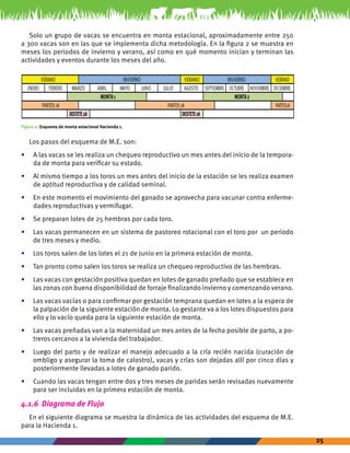 25 
Solo un grupo de vacas se encuentra en monta estacional, aproximadamente entre 250 
a 300 vacas son en las que se implementa dicha metodología. En la figura 2 se muestra en 
meses los periodos de invierno y verano, así como en qué momento inician y terminan las 
actividades y eventos durante los meses del año. 
1 2 3 4 5 6 7 8 9 10 11 12 13 14 15 16 17 18 19 20 21 22 23 24 25 26 27 28 29 30 31 32 33 34 35 36 37 38 39 40 41 42 43 44 45 46 47 48 
VERANO INVIERNO VERANO 
VERANO INVIERNO 
ENERO FEBRERO MARZO ABRIL MAYO JUNIO JULIO AGOSTO SEPTIEMBRE OCTUBRE 
NOVIEMBRE 
DESTETE 2A DESTETE 1A 
DICIEMBRE 
MONTA 1 MONTA 2 
PARTOS 1A PARTOS 2A PARTOS1A 
Figura 2: Esquema de monta estacional Hacienda 1. 
Los pasos del esquema de M.E. son: 
• A las vacas se les realiza un chequeo reproductivo un mes antes del inicio de la tempora-da 
de monta para verificar su estado. 
• Al mismo tiempo a los toros un mes antes del inicio de la estación se les realiza examen 
de aptitud reproductiva y de calidad seminal. 
• En este momento el movimiento del ganado se aprovecha para vacunar contra enferme-dades 
reproductivas y vermifugar. 
• Se preparan lotes de 25 hembras por cada toro. 
• Las vacas permanecen en un sistema de pastoreo rotacional con el toro por un periodo 
de tres meses y medio. 
• Los toros salen de los lotes el 21 de Junio en la primera estación de monta. 
• Tan pronto como salen los toros se realiza un chequeo reproductivo de las hembras. 
• Las vacas con gestación positiva quedan en lotes de ganado preñado que se establece en 
las zonas con buena disponibilidad de forraje finalizando invierno y comenzando verano. 
• Las vacas vacías o para confirmar por gestación temprana quedan en lotes a la espera de 
la palpación de la siguiente estación de monta. Lo gestante va a los lotes dispuestos para 
ello y lo vacío queda para la siguiente estación de monta. 
• Las vacas preñadas van a la maternidad un mes antes de la fecha posible de parto, a po-treros 
cercanos a la vivienda del trabajador. 
• Luego del parto y de realizar el manejo adecuado a la cría recién nacida (curación de 
ombligo y asegurar la toma de calostro), vacas y crías son dejadas allí por cinco días y 
posteriormente llevadas a lotes de ganado parido. 
• Cuando las vacas tengan entre dos y tres meses de paridas serán revisadas nuevamente 
para ser incluidas en la primera estación de monta. 
4.1.6 Diagrama de Flujo 
En el siguiente diagrama se muestra la dinámica de las actividades del esquema de M.E. 
para la Hacienda 1. 
 
