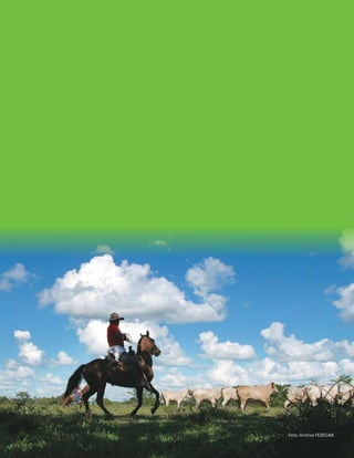 Foto: Archivo FEDEGAN 
 