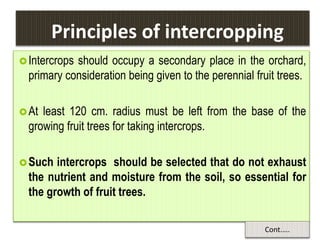 Principles of intercropping
Intercrops should occupy a secondary place in the orchard,
primary consideration being given to the perennial fruit trees.
At least 120 cm. radius must be left from the base of the
growing fruit trees for taking intercrops.
Such intercrops should be selected that do not exhaust
the nutrient and moisture from the soil, so essential for
the growth of fruit trees.
Cont.….
 
