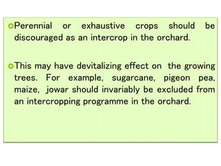 Perennial or exhaustive crops should be
discouraged as an intercrop in the orchard.
This may have devitalizing effect on the growing
trees. For example, sugarcane, pigeon pea,
maize, jowar should invariably be excluded from
an intercropping programme in the orchard.
 