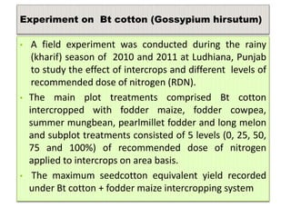 • A field experiment was conducted during the rainy
(kharif) season of 2010 and 2011 at Ludhiana, Punjab
to study the effect of intercrops and different levels of
recommended dose of nitrogen (RDN).
• The main plot treatments comprised Bt cotton
intercropped with fodder maize, fodder cowpea,
summer mungbean, pearlmillet fodder and long melon
and subplot treatments consisted of 5 levels (0, 25, 50,
75 and 100%) of recommended dose of nitrogen
applied to intercrops on area basis.
• The maximum seedcotton equivalent yield recorded
under Bt cotton + fodder maize intercropping system
Experiment on Bt cotton (Gossypium hirsutum)
 