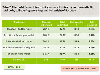 Table 2. Effect of different intercropping systems to intercrops on opened bolls,
total bolls, boll opening percentage and boll weight of Bt cotton
Treatment Opened
bolls/plant
Total
bolls/plant
Boll opening
%
Boll
weight(g)
Bt cotton + fodder maize 28.9 B 32.7B 88.3 3.60A
Bt cotton + fodder pearlmillet 20.6 C 24.3C 85.0 3.47B
Bt cotton + fodder cowpea 29.5 A 33.6A 87.9 3.66A
Bt cotton + summer mungbean 30.3A 35.1A 86.5 3.68A
Bt cotton +long melon 31.5A 35.7A 88.3 3.68A
RATIO 1 : 1
CD (P=0.05) 3.45 3.49 NS 0.15
Source: Rekha and Dhuria (2010)
 
