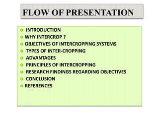 FLOW OF PRESENTATION
 INTRODUCTION
 WHY INTERCROP ?
 OBJECTIVES OF INTERCROPPING SYSTEMS
 TYPES OF INTER-CROPPING
 ADVANTAGES
 PRINCIPLES OF INTERCROPPING
 RESEARCH FINDINGS REGARDING OBJECTIVES
 CONCLUSION
 REFERENCES
 
