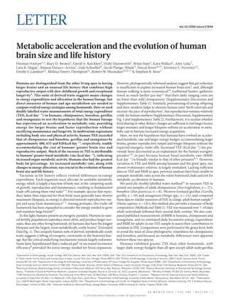 0 0 M O N T H 2 0 1 6 | V O L 0 0 0 | N A T U R E | 1
LETTER doi:10.1038/nature17654
Metabolic acceleration and the evolution of human
brain size and life history
Herman Pontzer1,2
, Mary H. Brown3
, David A. Raichlen4
, Holly Dunsworth5
, Brian Hare6
, Kara Walker6
, Amy Luke7
,
Lara R. Dugas7
, Ramon Durazo-Arvizu7
, Dale Schoeller8
, Jacob Plange-Rhule9
, Pascal Bovet10,11
, Terrence E. Forrester12
,
Estelle V. Lambert13
, Melissa Emery Thompson14
, Robert W. Shumaker15,16,17
& Stephen R. Ross3
Humans are distinguished from the other living apes in having
larger brains and an unusual life history that combines high
reproductive output with slow childhood growth and exceptional
longevity1
. This suite of derived traits suggests major changes
in energy expenditure and allocation in the human lineage, but
direct measures of human and ape metabolism are needed to
compare evolved energy strategies among hominoids. Here we used
doubly labelled water measurements of total energy expenditure
(TEE; kcal day−1
) in humans, chimpanzees, bonobos, gorillas
and orangutans to test the hypothesis that the human lineage
has experienced an acceleration in metabolic rate, providing
energy for larger brains and faster reproduction without
sacrificing maintenance and longevity. In multivariate regressions
including body size and physical activity, human TEE exceeded
that of chimpanzees and bonobos, gorillas and orangutans by
approximately 400, 635 and 820 kcal day−1
, respectively, readily
accommodating the cost of humans’ greater brain size and
reproductive output. Much of the increase in TEE is attributable
to humans’ greater basal metabolic rate (kcal day−1
), indicating
increased organ metabolic activity. Humans also had the greatest
body fat percentage. An increased metabolic rate, along with
changes in energy allocation, was crucial in the evolution of human
brain size and life history.
Variation in life history reflects evolved differences in energy
expenditure. Each organism must allocate its available metabolic
energy, which is largely a function of body size, to the competing needs
of growth, reproduction and maintenance, resulting in fundamental
trade-offs among these vital tasks2–5
. For example, species that repro-
duce faster than expected for their body mass generally have shorter
maximum lifespans, as energy is directed towards reproductive out-
put and away from maintenance2–5
. Among primates, this trade-off
framework has been expanded to consider the energy needed to grow
and maintain large brains6,7
.
In this light, humans present an energetic paradox. Humans in natu-
ral fertility populations reproduce more often, and produce larger neo-
nates, than any other living hominoid, yet humans also have the longest
lifespans and the largest, most metabolically costly brains1
(Extended
Data Fig. 1). This uniquely human suite of derived, metabolically costly
traits suggests a lifting of energetic constraints in the hominin line-
age, but the critical underlying mechanisms remain largely unknown.
Some have hypothesized that a reduced gut8
or increased locomotor
efficiency9
provided the extra energy needed for brain expansion.
However, phylogenetically informed analyses suggest that gut reduction
is insufficient to explain increased human brain size1
, and, although
human walking is more economical10
, traditional hunter–gatherers
travel so much farther per day11
that their daily ranging costs are
no lower than wild chimpanzees’ (Supplementary Discussion and
Supplementary Table 1). Similarly, provisioning of young offspring
and their mothers helps to shorten human inter-birth intervals and
increase the pace of reproduction1
, but reproduction remains relatively
costly for human mothers (Supplementary Discussion, Supplementary
Fig. 1 and Supplementary Table 2). Furthermore, it is unclear whether
food sharing or other dietary changes are sufficient to fuel larger brains,
larger neonates and longer lifespans without an acceleration in meta-
bolic rate to harness increased energy acquisition.
Here, we test the hypothesis that humans have evolved an acceler-
ated metabolic rate and larger energy budget, accommodating larger
brains, greater reproductive output and longer lifespans without the
expected energetic trade-offs. Increased TEE (kcal day−1
) has pre-
viously been discounted as an explanation for the human energetic
paradox1,8
, in part because human basal metabolic rate (BMR;
kcal day−1
) is broadly similar to that of other primates8,11
. However,
variation in TEE and BMR among humans and the great apes, our
closest evolutionary relatives, is largely unstudied. Lacking sufficient
data on TEE and BMR in apes, previous analyses have been unable to
compare metabolic rates across the entire hominoid clade and test for
metabolic acceleration in humans.
We used the doubly labelled water method12
to measure TEE in
mixed-sex samples of adult chimpanzees (Pan troglodytes; n = 27),
bonobos (Pan paniscus; n = 8), Western lowland gorillas (Gorilla
gorilla; n = 10) and orangutans (Pongo spp.; n = 11), and compared
these data to similar measures of TEE in a large, adult human sample13
(Homo sapiens; n = 141); this method also provides a measure of body
composition (Methods and Table 1). TEE was measured over 7–10 days
while individuals followed their normal daily routine. We also com-
pared published measurements of BMR in humans, chimpanzees and
orangutans, and we estimated daily locomotor energy expenditure
and BMR for adults in our TEE sample to assess their contribution to
variation in TEE. Comparisons were performed at the genus level, both
to avoid the issue of close phylogenetic relatedness for chimpanzees
and bonobos, and because no metabolic differences were apparent
between these two species.
Humans exhibited greater TEE than other hominoids, with
larger daily energy budgets than all apes except adult male gorillas
1
Department of Anthropology, Hunter College. 695 Park Avenue, New York, New York 10065, USA. 2
New York Consortium for Evolutionary Primatology, New York, New York 10065, USA. 3
Lester
E. Fisher Center for the Study and Conservation of Apes, Lincoln Park Zoo. Chicago, Illinois 60614, USA. 4
School of Anthropology, University of Arizona, 1099 E South Campus Drive, Tucson,
Arizona 85716, USA. 5
Department of Sociology & Anthropology, University of Rhode Island, 45 Upper College Rd, Kingston, Rhode Island 02881, USA. 6
Department of Evolutionary Anthropology,
Duke University, Durham, North Carolina 27708, USA. 7
Public Health Sciences, Stritch School of Medicine, Loyola University Chicago, 2160 South First Avenue, Maywood, Illinois 60153, USA.
8
Nutritional Sciences, Biotechnology Center, University of Wisconsin–Madison, 425 Henry Mall, Madison, Wisconsin 53705, USA. 9
Kwame Nkrumah University of Science and Technology, Kumasi,
Ghana. 10
Institute of Social & Preventive Medicine, Lausanne University Hospital, Rue de la Corniche 10, 1010 Lausanne, Switzerland. 11
Ministry of Health, PO Box 52, Victoria, Mahé, Seychelles.
12
UWI Solutions for Developing Countries, The University of the West Indies, 25 West Road, UWI Mona Campus, Kingston 7, Jamaica. 13
Research Unit for Exercise Science and Sports Medicine,
University of Cape Town, PO Box 115, Newlands 7725, Cape Town, South Africa. 14
Department of Anthropology, University of New Mexico. Albuquerque, New Mexico 87131, USA. 15
Indianapolis
Zoo, 1200 W Washington Street, Indianapolis, Indiana 46222, USA. 16
Department of Anthropology and Center for Integrated Study of Animal Behavior, Indiana University, 701 E Kirkwood Avenue,
Bloomington, Indiana 47405, USA. 17
Krasnow Institute for Advanced Study, George Mason University, 4400 University Dr., Fairfax, Virginia 22030, USA.
© 2016 Macmillan Publishers Limited. All rights reserved
 